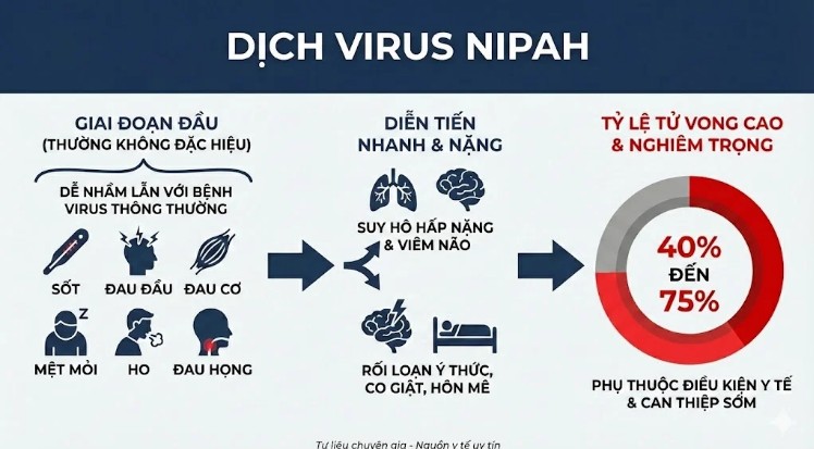 Tình hình dịch bệnh do virus Nipah và các biện pháp chủ động phòng chống